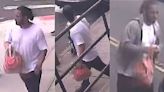 Police searching for man who choked little girl in Brooklyn chain snatch