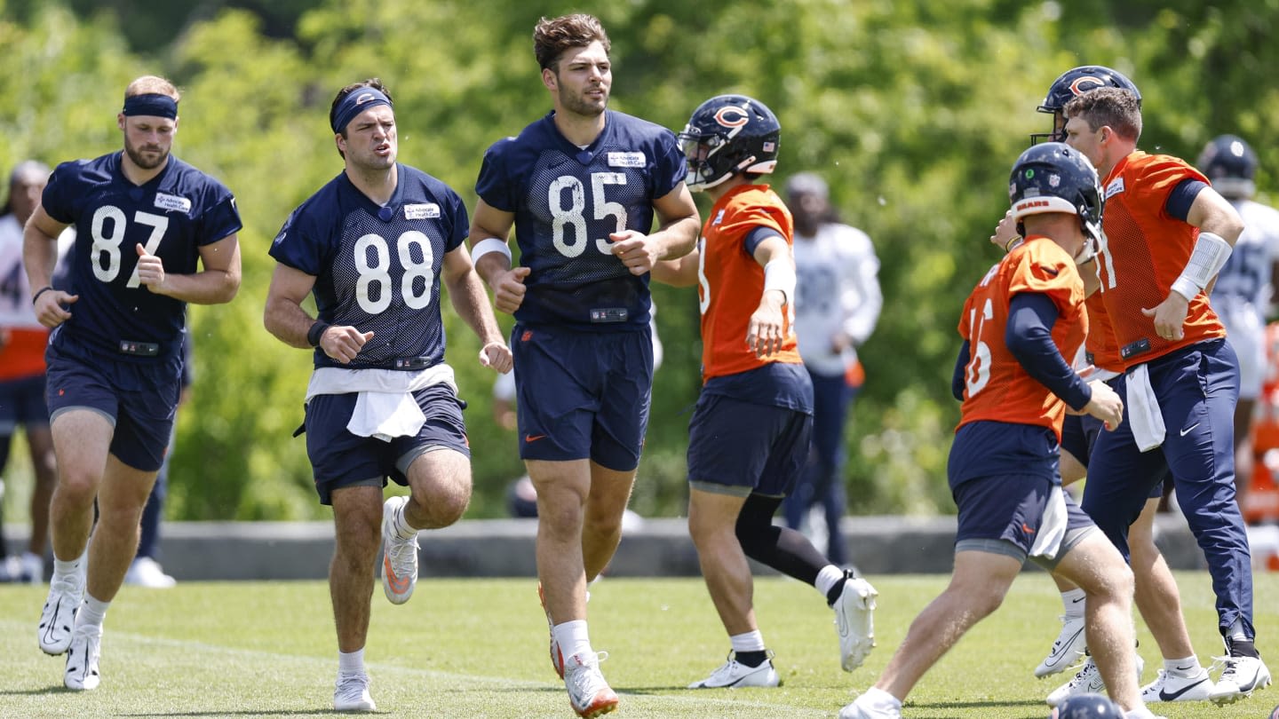 Why Key Chicago Bears Are Regarded as Fantasy Football Duds