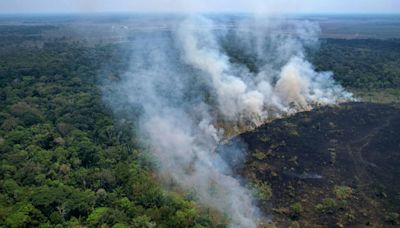 Incendios en Amazonía brasileña baten récord para un primer semestre en 20 años