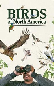 Birds of North America