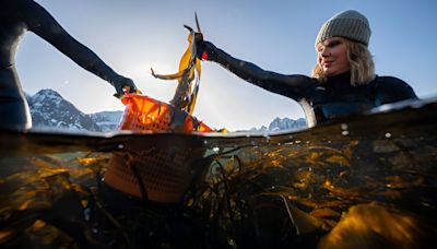 Norway women bring seaweed to culinary heights in Europe
