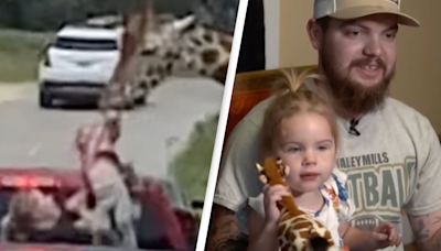 Mom desperately clings to toddler as giraffe snatches her from truck at drive-thru safari