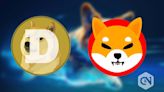 Doge vs. ADA One survives bear market