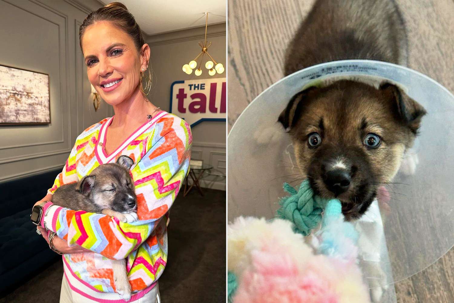 Natalie Morales Rescues a Blue-Eyed Puppy on “The Talk”