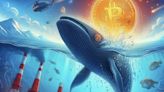 Bitcoin Price Nosedives: Whale Activity and High Mining Costs Fuel Market Turmoil - EconoTimes