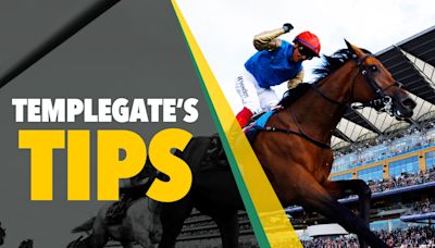 Templegate's NAP will strike racing up with the pace at Newmarket