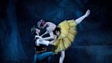 Adiarys Almeida y Taras Domitro: éxito, transición y futuro del ballet