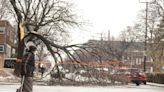 Canadian telcos say networks hit by power outages from ice storm