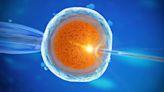 Fertility Treatment Safe for Breast Cancer Survivors With BRCA Mutations
