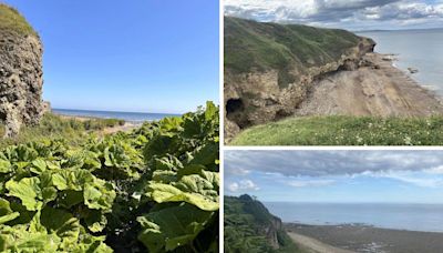 Need some fresh air? Try these best scenic circular beach walks in County Durham