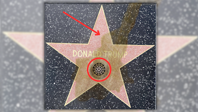 Fact Check: Images Show Drain Added to Trump's Hollywood Walk of Fame Star Because People Supposedly Kept Peeing on It. Here's the...