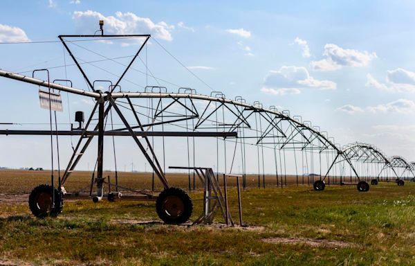 Texas farmers face mounting expenses as droughts worsen