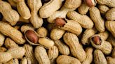 Are Peanuts Actually Just Beans In Disguise?