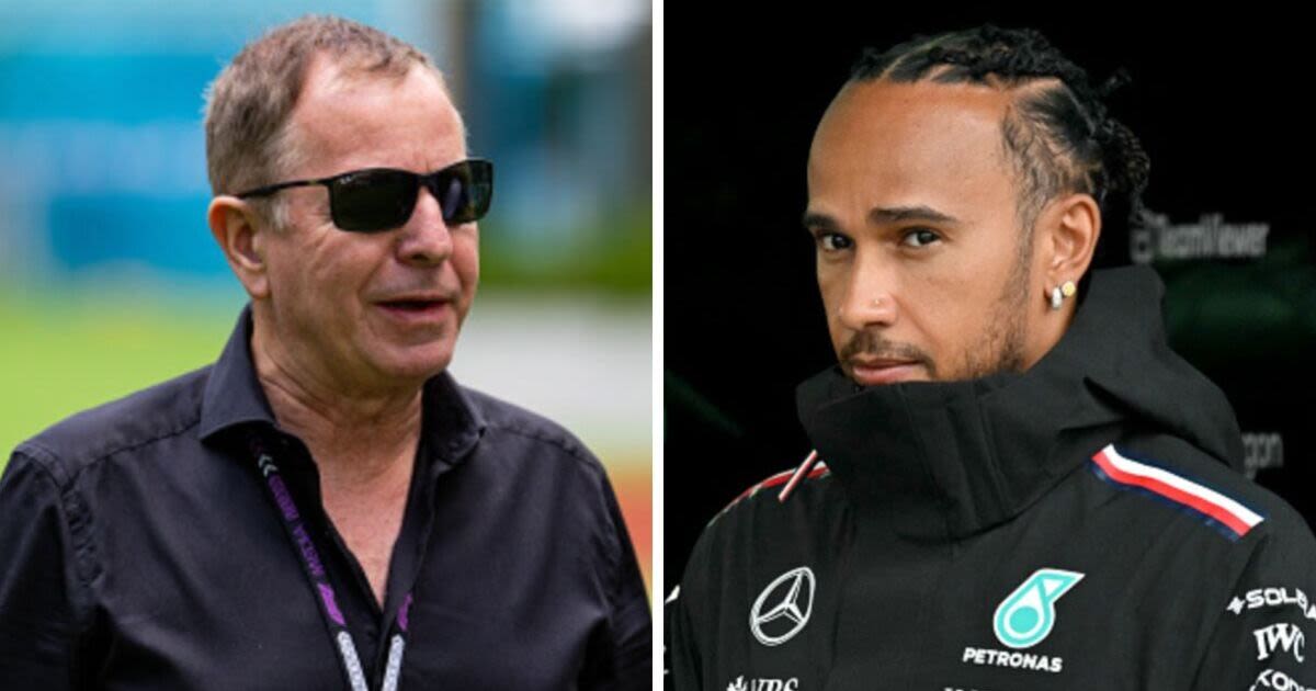 Martin Brundle blown away by F1 driver that kept Lewis Hamilton at bay