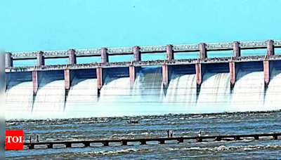 Tungabhadra Dam Gate Damage Alerts Kurnool and Nandyal Districts | Vijayawada News - Times of India