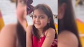 "Kashmir Nahin, Jannat Hai": Punjab Girl's Video Praising Kashmir Goes Viral