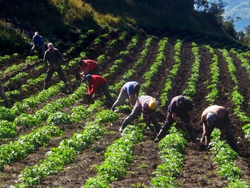 Campesinos del Catatumbo celebran extensión del cese al fuego con parte de las disidencias