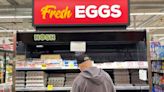 Op-Ed: Why does California have an egg shortage?