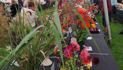 Gardening clubs and societies invited to enter Taunton Flower Show competition