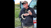 Python found lurking in cab of U-Haul truck in Virginia. It had been there for a while