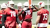 Cardinals Rank First in Rookie Spending