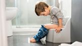 Potty Training? Your Toddler Needs One of These Potty Seats