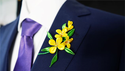 520賴清德就職典禮西裝亮相！ 周裕穎設計「紫斑蝶」領帶與油菜花胸章成亮點 | 蕃新聞