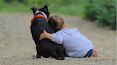 Convivencia entre perro y niño: amistad transformadora o problemática