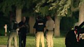 Police stun man with Taser at Wauwatosa cemetery