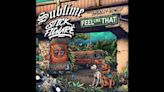 Sublime Release New Single 'Feel Like That' Featuring Late Frontman Bradley Nowell