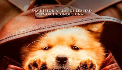 HACHIKO 2: SIEMPRE A TU LADO - El Diario - Bolivia