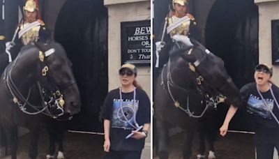 Turista leva baita mordida de cavalo da realeza britânica, se desespera e até desmaia; vídeo