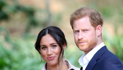 Meghan Markle and Prince Harry's 'genuine' TV appearance hailed as 'slam dunk'