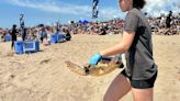 Liberan cuatro tortugas marinas en la playa de El Prat de Llobregat
