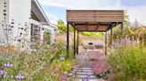 This Gorgeous Yard Proves a Flower-Filled Meadow Is Possible, Even in a Small Space