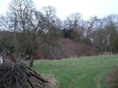 Buckenham Castle