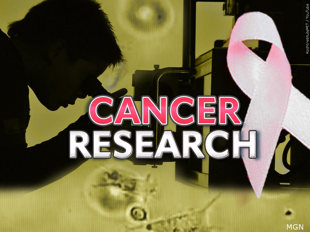 Researchers urge early screening for cancer detection - WBBJ TV