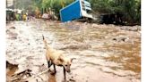 Lluvias suman en tres estados siete muertos