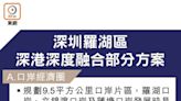 羅湖公布45措施 提供住房給人才 深圳加快融合步伐 香港配套仍落後