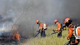 O que é a turfa do Pantanal e por que ela torna o combate ao fogo ainda mais difícil