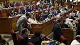 La Nación / Proyecto de reforma policial debe ser tratado con urgencia en Diputados, afirmó senador