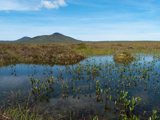Remote peatland granted world heritage status