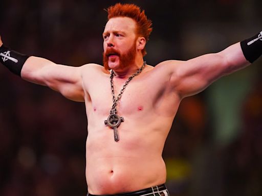 Sheamus Is Already Looking For A Rematch Against Ludwig Kaiser