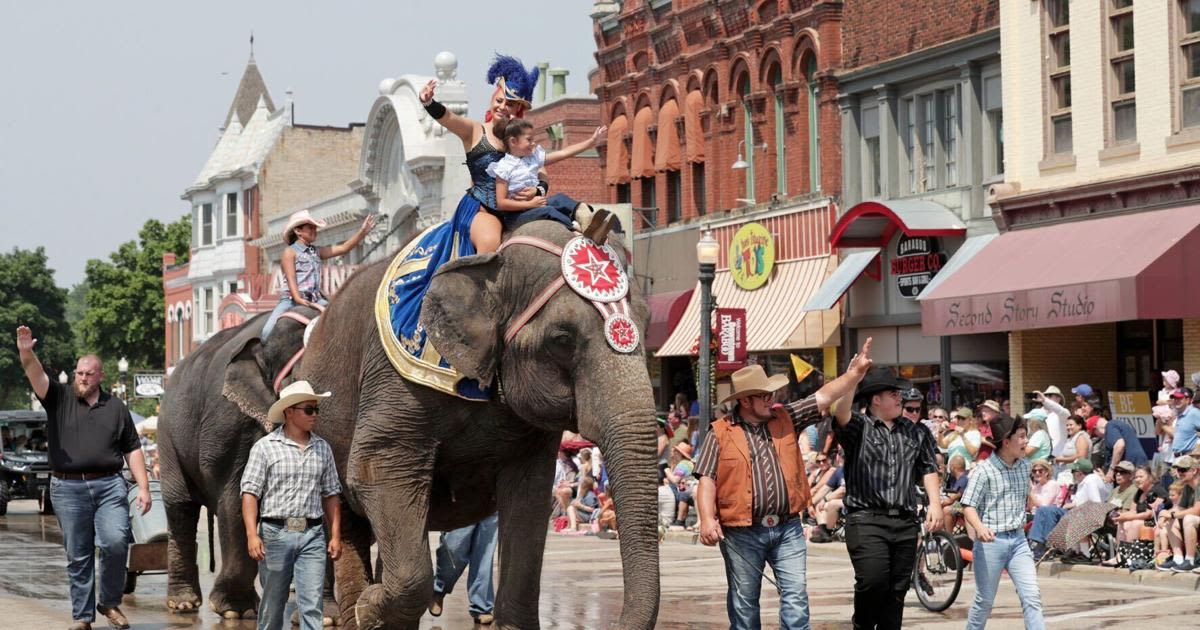 Escaped elephant spurred memories of Sauk City excursion -- Gareth L. Steen