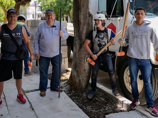 Why a Tree Army is stepping in to protect greenery in Mexico City