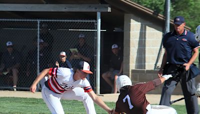 Baseball campaign comes to an end as Pontiac, Dwight fall in postseason