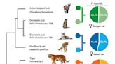 「你怎麼比我還會聞？」科學家利用「基因分析」解答為何家貓嗅覺遜於野貓