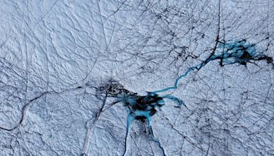 Vírus gigantes são encontrados pela 1ª vez no degelo da Groelândia; veja como eles impactam no meio ambiente e na saúde