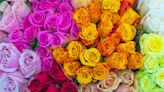 12 rose color meanings to help you pick the perfect blooms every time