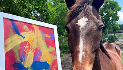 Rescue Horse Learns to Paint Colorful Masterpieces Thanks to a Carrot on a Brush